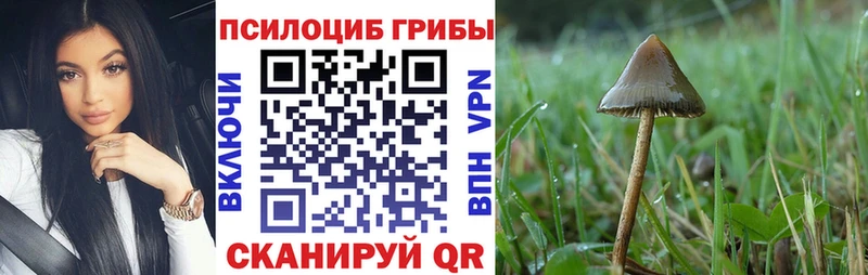мега ссылка  площадка телеграм  Галлюциногенные грибы GOLDEN TEACHER  Ленск 