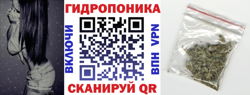 где найти наркотики  Ленск  сайты даркнета Telegram  Шишки марихуана OG Kush 